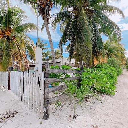 Vila Coconut Palm House - El Cuyo Exteriér fotografie