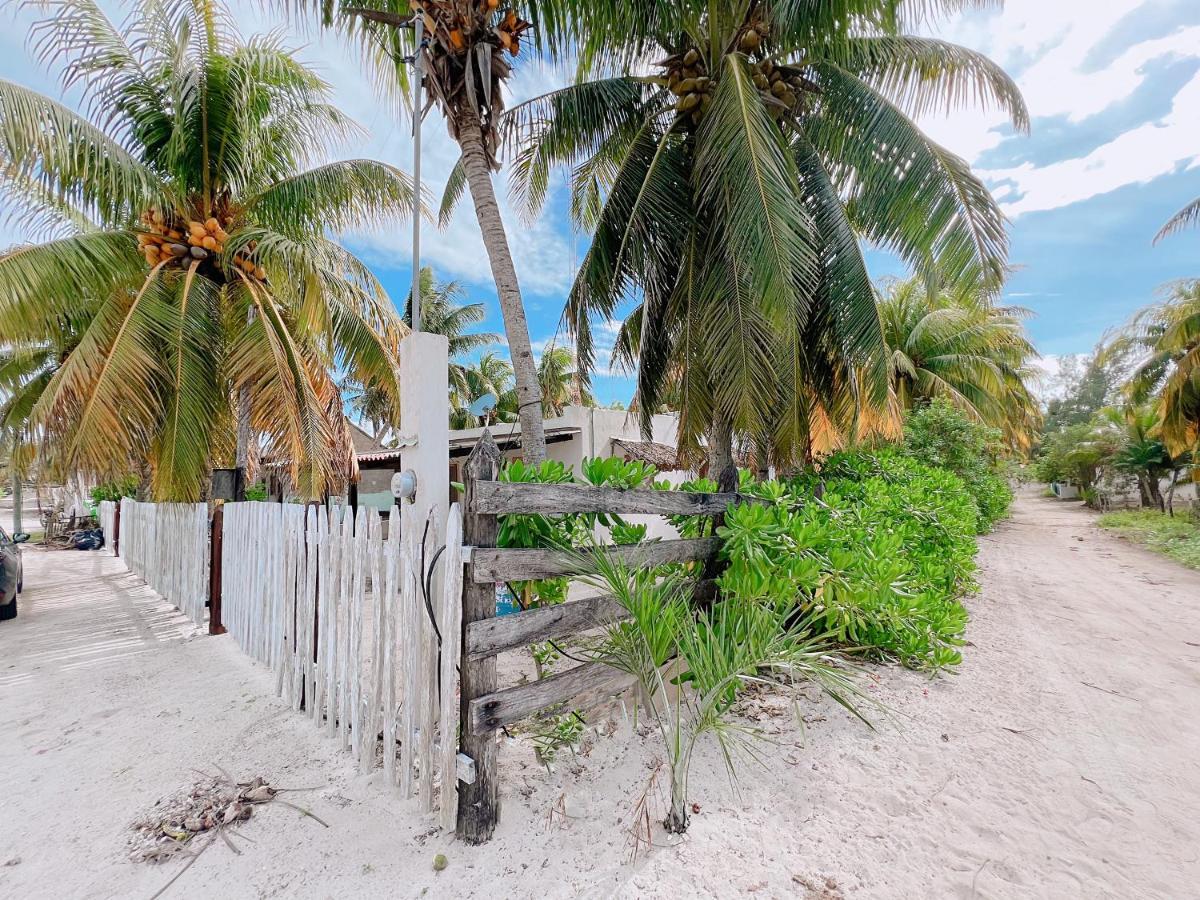 Vila Coconut Palm House - El Cuyo Exteriér fotografie