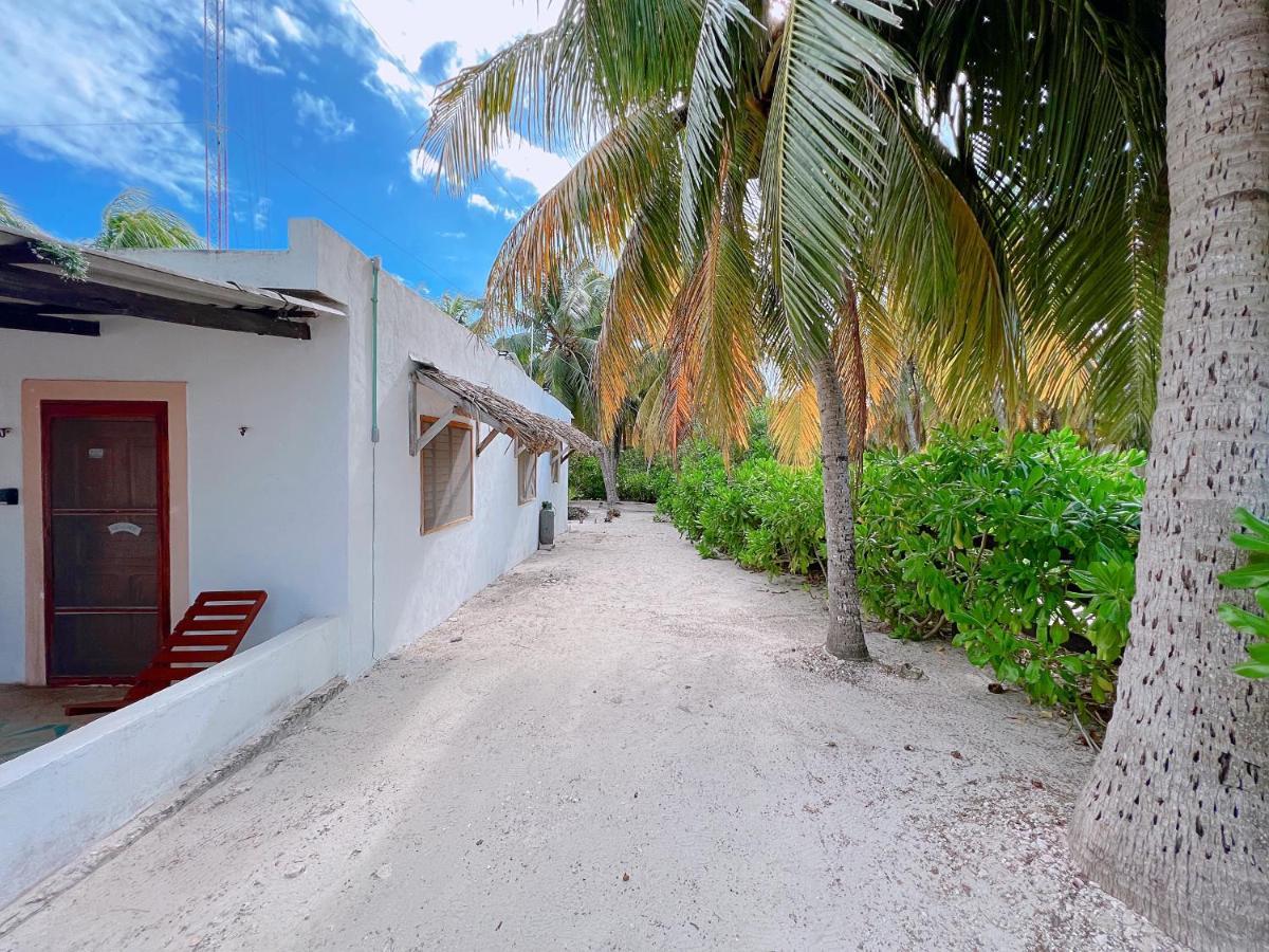 Vila Coconut Palm House - El Cuyo Exteriér fotografie